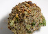  ( - BIOUG00976-D03)  @13 [ ] CreativeCommons - Attribution (2011) Peter J. Bryant Centre for Biodiversity Genomics