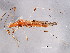  ( - BIOUG00973-G06)  @12 [ ] CreativeCommons - Attribution (2011) CBG Photography Group Centre for Biodiversity Genomics