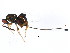  ( - BIOUG01203-B01)  @11 [ ] CreativeCommons - Attribution (2011) CBG Photography Group Centre for Biodiversity Genomics