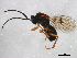  ( - BIOUG01204-G12)  @14 [ ] CreativeCommons - Attribution (2012) CBG Photography Group Centre for Biodiversity Genomics