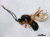  ( - BIOUG01204-H01)  @14 [ ] CreativeCommons - Attribution (2012) CBG Photography Group Centre for Biodiversity Genomics