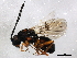  ( - BIOUG01204-H02)  @14 [ ] CreativeCommons - Attribution (2012) CBG Photography Group Centre for Biodiversity Genomics