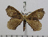  ( - BC-Basq 2847)  @12 [ ] Copyright (2011) Patrick Basquin Research Collection of Patrick Basquin
