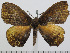  ( - BC-Basq 2998)  @13 [ ] Copyright (2011) Patrick Basquin Research Collection of Patrick Basquin