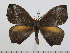  ( - BC-Basq 2999)  @14 [ ] Copyright (2011) Patrick Basquin Research Collection of Patrick Basquin