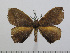  ( - BC-Basq 3000)  @14 [ ] Copyright (2011) Patrick Basquin Research Collection of Patrick Basquin