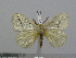  ( - BC-Basq 3030)  @13 [ ] Copyright (2011) Patrick Basquin Research Collection of Patrick Basquin