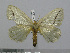  ( - BC-Basq 3031)  @12 [ ] Copyright (2011) Patrick Basquin Research Collection of Patrick Basquin