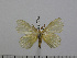  ( - BC-Basq 3040)  @12 [ ] Copyright (2011) Patrick Basquin Research Collection of Patrick Basquin