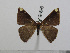  ( - BC-Basq 3050)  @13 [ ] Copyright (2011) Patrick Basquin Research Collection of Patrick Basquin