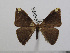  ( - BC-Basq 3051)  @13 [ ] Copyright (2011) Patrick Basquin Research Collection of Patrick Basquin