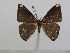  ( - BC-Basq 3052)  @11 [ ] Copyright (2011) Patrick Basquin Research Collection of Patrick Basquin