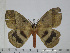  ( - BC-Basq 3069)  @14 [ ] Copyright (2011) Patrick Basquin Research Collection of Patrick Basquin
