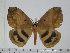  ( - BC-Basq 3071)  @14 [ ] Copyright (2011) Patrick Basquin Research Collection of Patrick Basquin