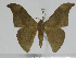  ( - BC-Basq 3158)  @14 [ ] Copyright (2011) Patrick Basquin Research Collection of Patrick Basquin