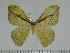  ( - BC-Basq 3172)  @13 [ ] Copyright (2011) Patrick Basquin Research Collection of Patrick Basquin