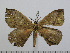  ( - BC-Basq 3001)  @13 [ ] Copyright (2011) Patrick Basquin Research Collection of Patrick Basquin