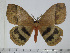  ( - BC-Basq 3068)  @14 [ ] Copyright (2011) Patrick Basquin Research Collection of Patrick Basquin