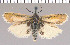  ( - yellow-100)  @11 [ ] Unspecified (default): All Rights Reserved  Unspecified Unspecified