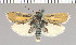  ( - yellow-101)  @11 [ ] Unspecified (default): All Rights Reserved  Unspecified Unspecified