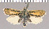  ( - yellow-103)  @11 [ ] Unspecified (default): All Rights Reserved  Unspecified Unspecified