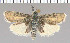  ( - yellow-104)  @11 [ ] Unspecified (default): All Rights Reserved  Unspecified Unspecified