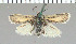  ( - yellow-106)  @11 [ ] Unspecified (default): All Rights Reserved  Unspecified Unspecified