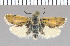  ( - yellow-108)  @14 [ ] Unspecified (default): All Rights Reserved  Unspecified Unspecified