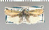  ( - yellow-109)  @13 [ ] Unspecified (default): All Rights Reserved  Unspecified Unspecified