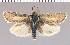 ( - yellow-110)  @14 [ ] Unspecified (default): All Rights Reserved  Unspecified Unspecified