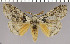  ( - red-123)  @14 [ ] Unspecified (default): All Rights Reserved  Unspecified Unspecified