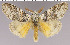  ( - red-124)  @14 [ ] Unspecified (default): All Rights Reserved  Unspecified Unspecified