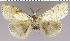  ( - red-127)  @13 [ ] Unspecified (default): All Rights Reserved  Unspecified Unspecified