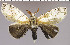  ( - red-13)  @13 [ ] Unspecified (default): All Rights Reserved  Unspecified Unspecified