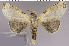  ( - red-138)  @14 [ ] Unspecified (default): All Rights Reserved  Unspecified Unspecified