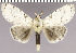  ( - red-154)  @14 [ ] Unspecified (default): All Rights Reserved  Unspecified Unspecified