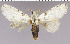  ( - red-155)  @14 [ ] Unspecified (default): All Rights Reserved  Unspecified Unspecified