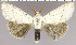  ( - red-160)  @14 [ ] Unspecified (default): All Rights Reserved  Unspecified Unspecified