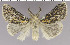  ( - red-169)  @14 [ ] Unspecified (default): All Rights Reserved  Unspecified Unspecified