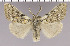  ( - red-170)  @14 [ ] Unspecified (default): All Rights Reserved  Unspecified Unspecified