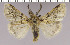  ( - red-171)  @14 [ ] Unspecified (default): All Rights Reserved  Unspecified Unspecified