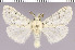  ( - red-173)  @14 [ ] Unspecified (default): All Rights Reserved  Unspecified Unspecified