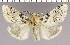  ( - red-181)  @14 [ ] Unspecified (default): All Rights Reserved  Unspecified Unspecified