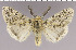  ( - red-182)  @14 [ ] Unspecified (default): All Rights Reserved  Unspecified Unspecified