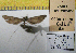  ( - 2011-35)  @12 [ ] Unspecified (default): All Rights Reserved  2011.2687 Unspecified