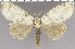  ( - red-30)  @14 [ ] Unspecified (default): All Rights Reserved  Unspecified Unspecified