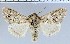  ( - 302A)  @14 [ ] Unspecified (default): All Rights Reserved  Unspecified Unspecified