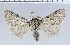  ( - 303A)  @14 [ ] Unspecified (default): All Rights Reserved  Unspecified Unspecified