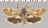  ( - yellow-41)  @13 [ ] Unspecified (default): All Rights Reserved  Unspecified Unspecified