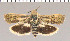  ( - yellow-46)  @11 [ ] Unspecified (default): All Rights Reserved  Unspecified Unspecified